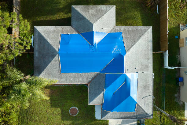 Best Roof Inspection  in Lavon, TX