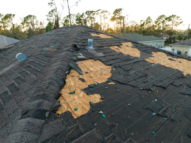 Best Hot Roofs  in Lavon, TX