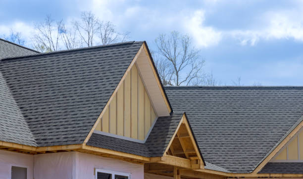 Best Gutter Installation and Repair  in Lavon, TX