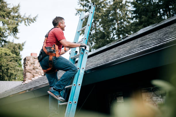 Best Chimney Flashing Repair  in Lavon, TX