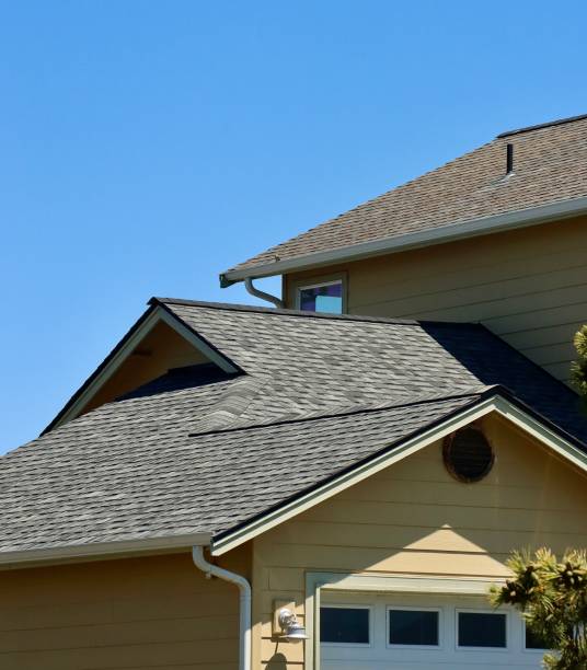 Best Solar Panel Roofing Installation  in Lavon, TX